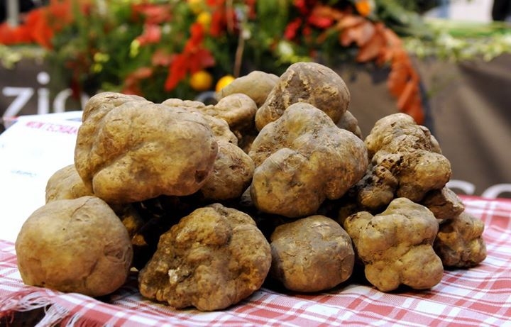 Profumo di tartufo da Acqui a Trisobbio