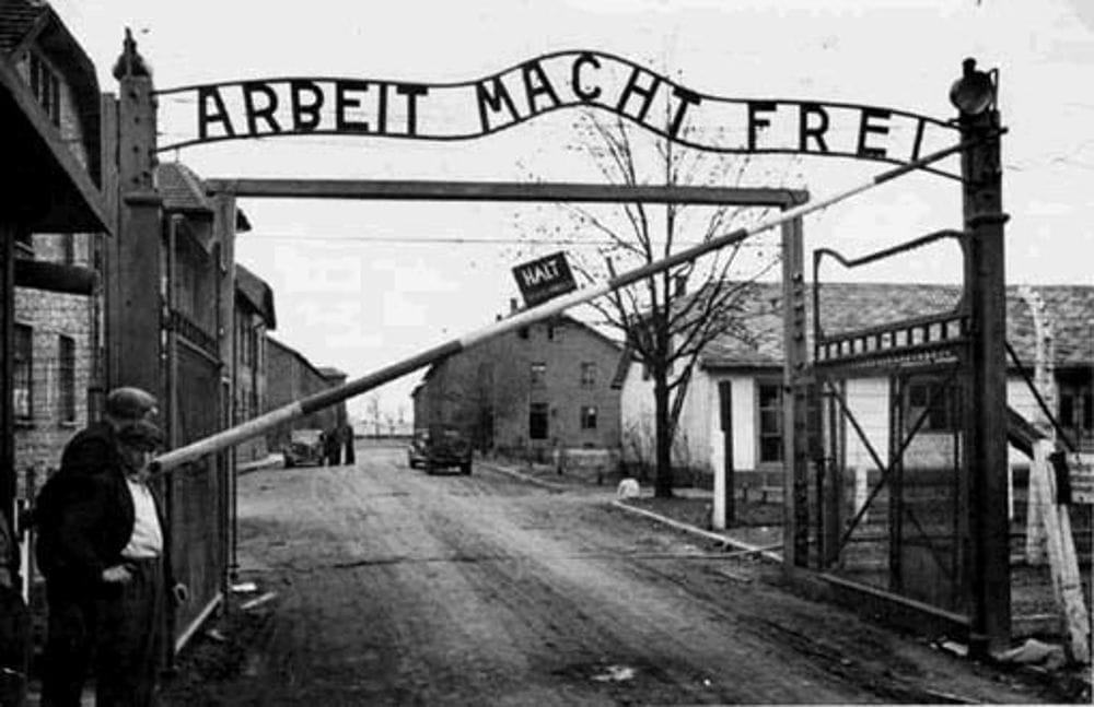 Le iniziative per il giorno della memoria 2019