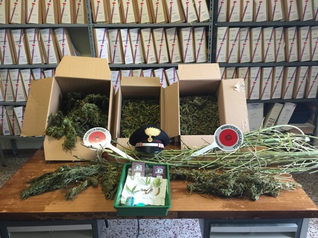 Deferiti due abitanti di Villadeati: trovati in possesso di 2 chili di cannabis