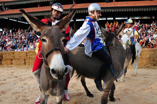 Il goliardico “Palio degli asini” torna ad Alba