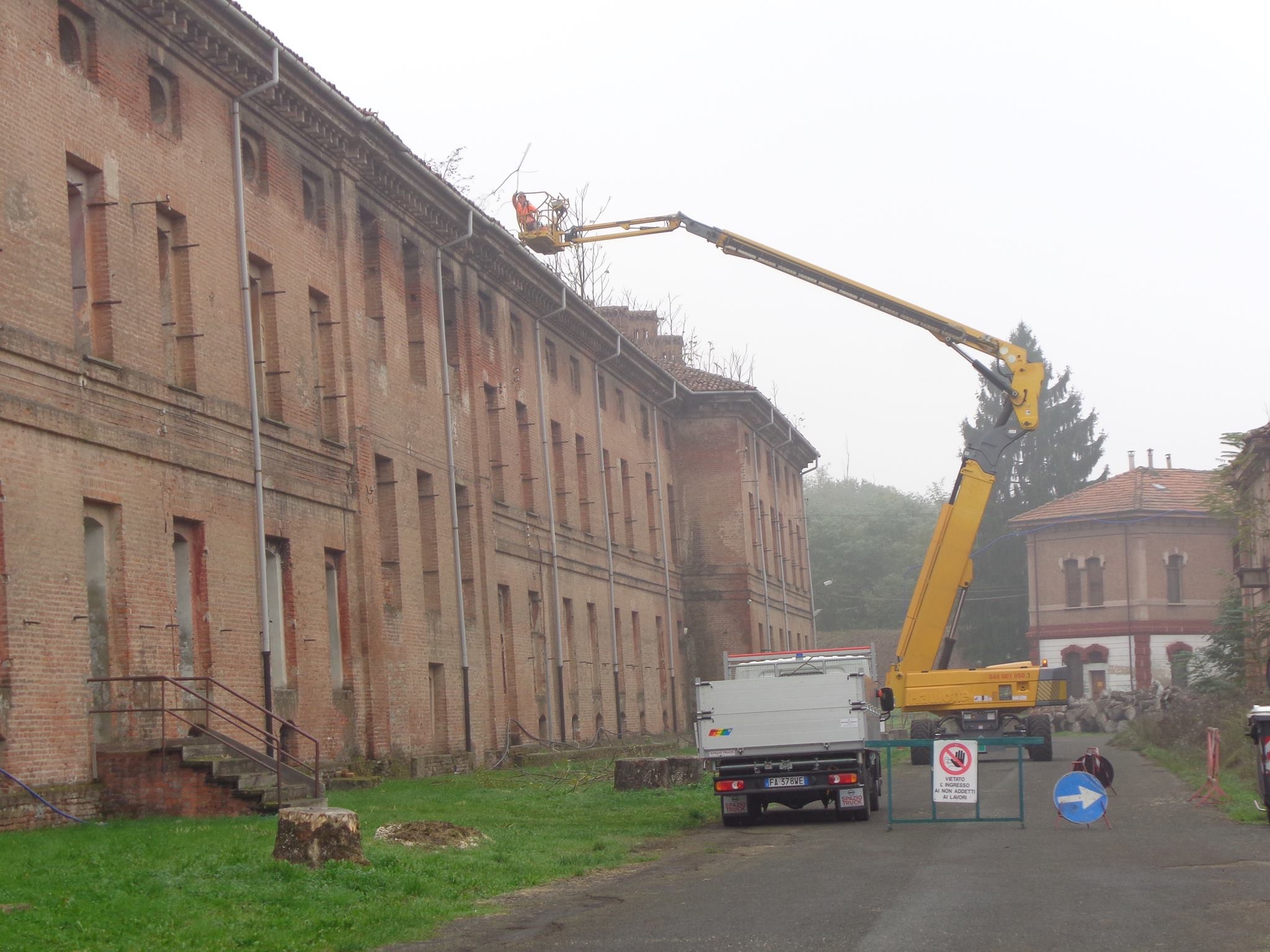 I tetti della Cittadella liberi dall’ailanto, la pianta che cerca di divorare la fortezza