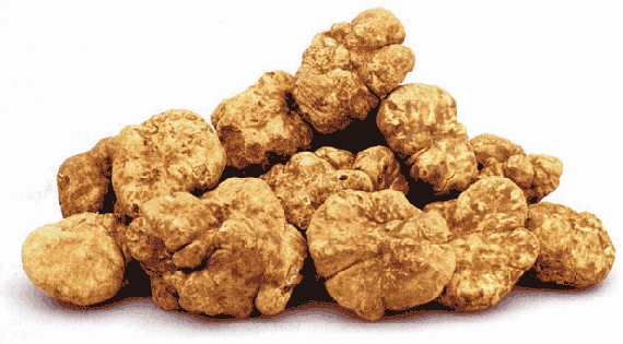 Il sapore di tartufo ancora protagonista della domenica in provincia