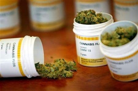 Dal 2016 in Piemonte la cannabis per uso terapeutico