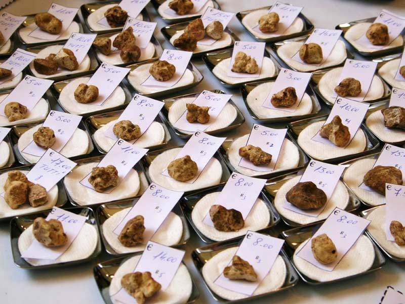 In piazza Mazzini a Casale c’è Tartufo in fiera