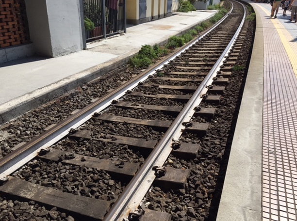 Pugni al capotreno: due alessandrini denunciati