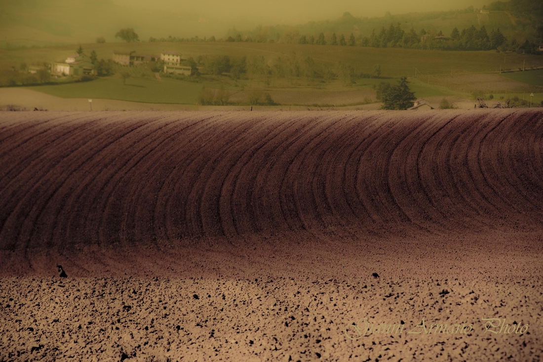 Una foto del Monferrato conquista il concorso fotografico Touring club