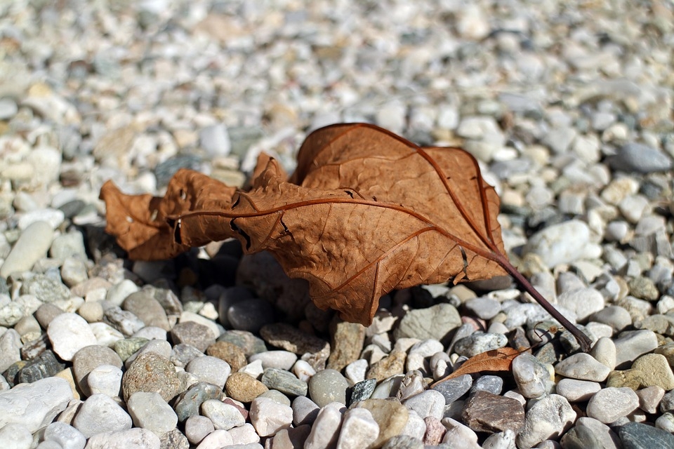 Autunno 2015 tra i più caldi. Record a novembre