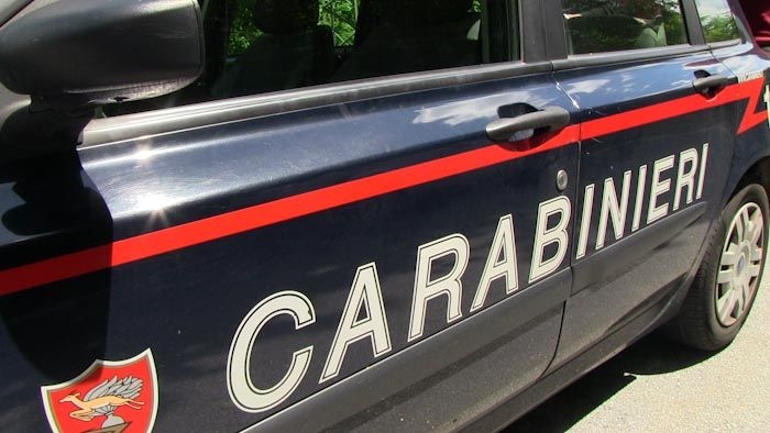 Ruba in un negozio e tenta di scappare: fermata dalla titolare