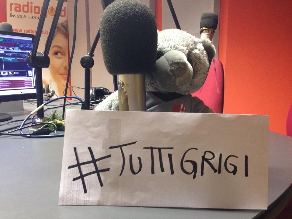 Noi siamo già #tuttigrigi: perchè la favola Alessandria fa sognare
