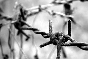Giornata della memoria: il ricordo delle vittime alessandrine dei campi di sterminio nazisti