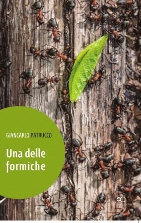 Domenica d’autore al D Café con Giancarlo Patrucco