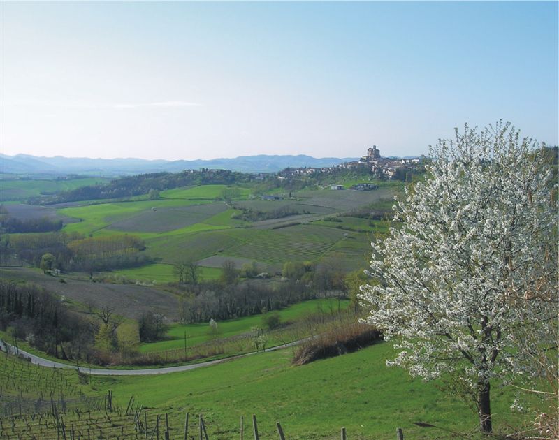 Primavera in anticipo in provincia di Alessandria: temperature sopra i 18 gradi