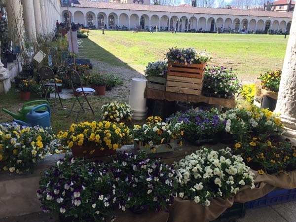 “Follia in fiore” invade di colori e profumi di fiori la Certosa di Collegno