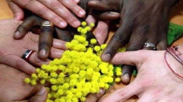 A Casale la Festa della Donna si celebra con spettacoli, mostre e concerti