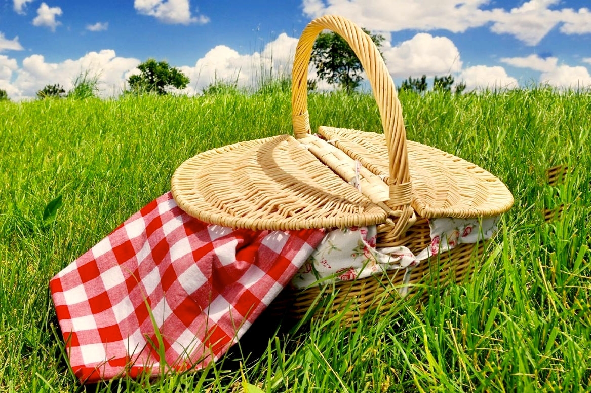 Viole, trattori, pepite, lama e tanto altro per Pasquetta