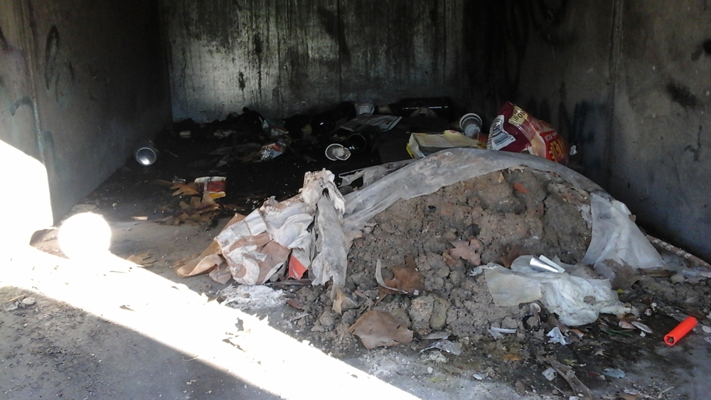 Cittadini fotografano degrado al Parco Carrà. Amag ambiente al lavoro per ripulire e per denunciare chi ha imbrattato