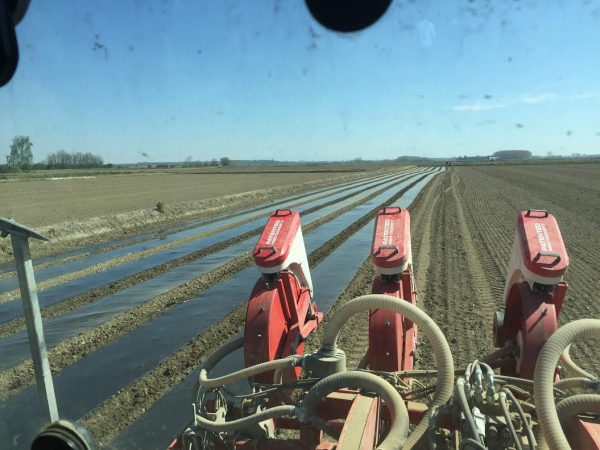 A Piovera un telo manda in ferie gli agricoltori durante l’estate: non c’è più bisogno di irrigare
