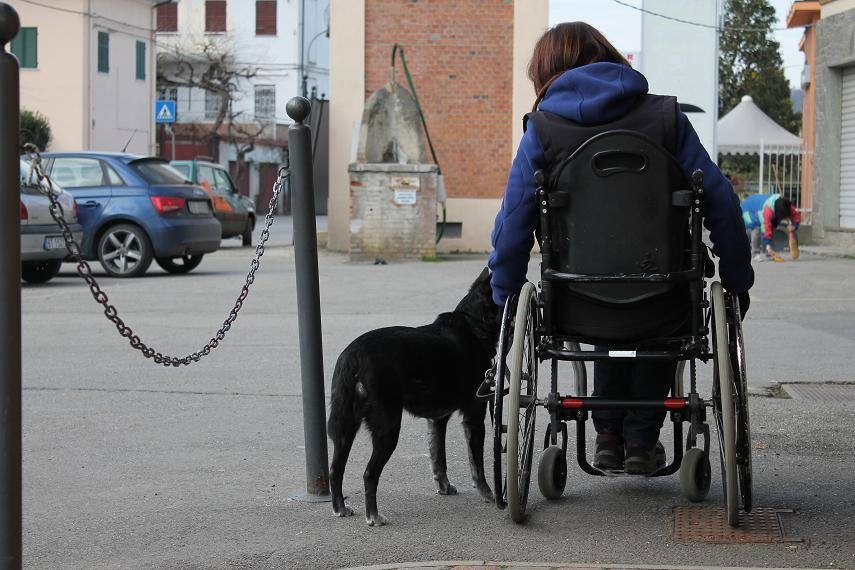 Aprire una porta o accendere la luce: ecco come un cane può aiutare il suo padrone disabile