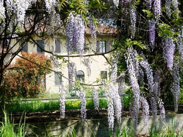 Bed & Breakfast Day: il 5 marzo i B&B offrono una notte gratis