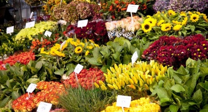 Si avvicina l’appuntamento con Frascaro in fiore