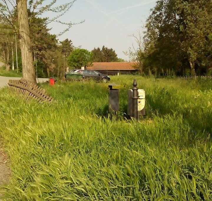 Cittadini disgustati dal degrado dell’area cani in strada Po