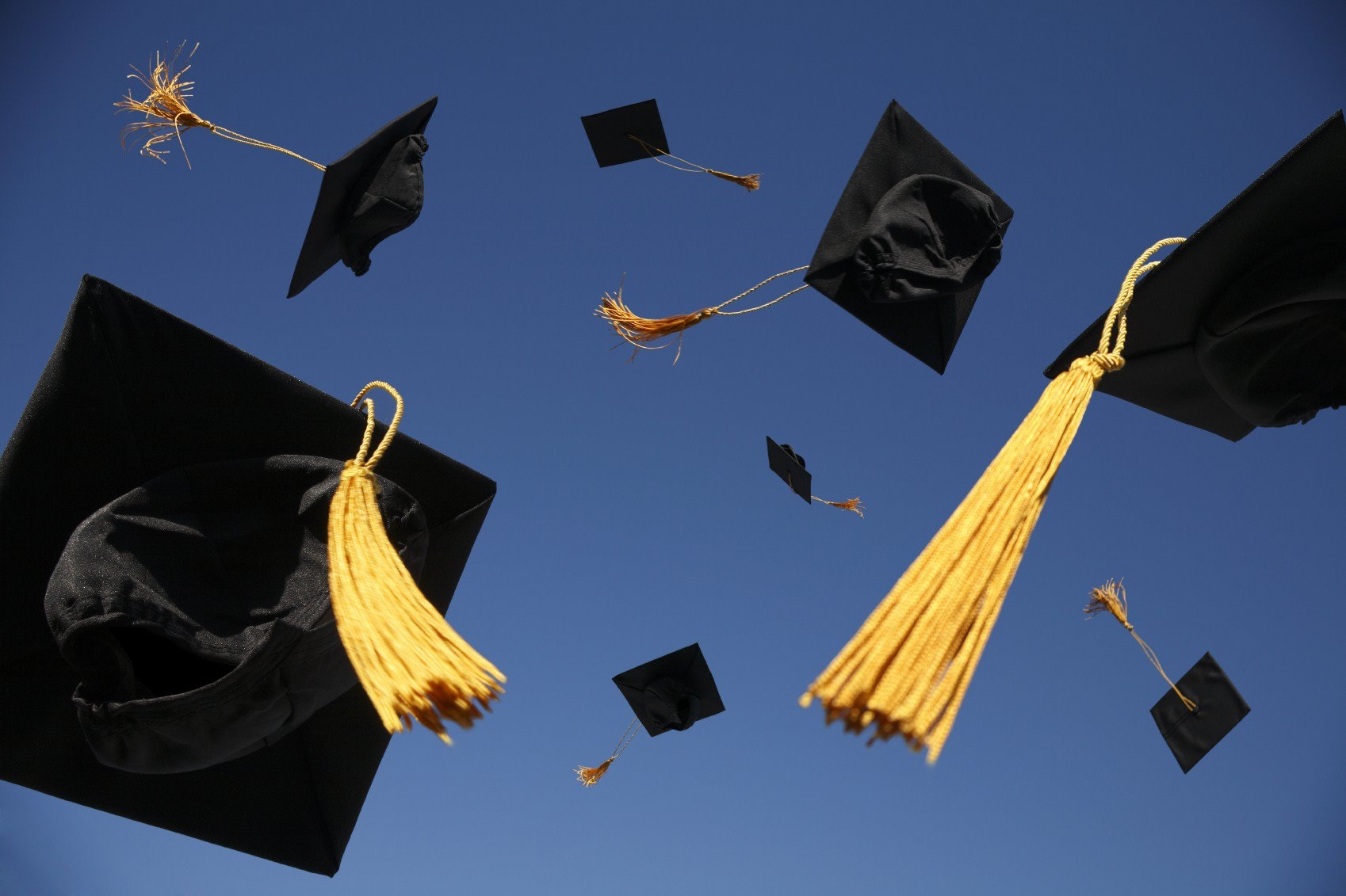 I laureati dell’Università del Piemonte Orientale trovano lavoro prima e guadagnano di più