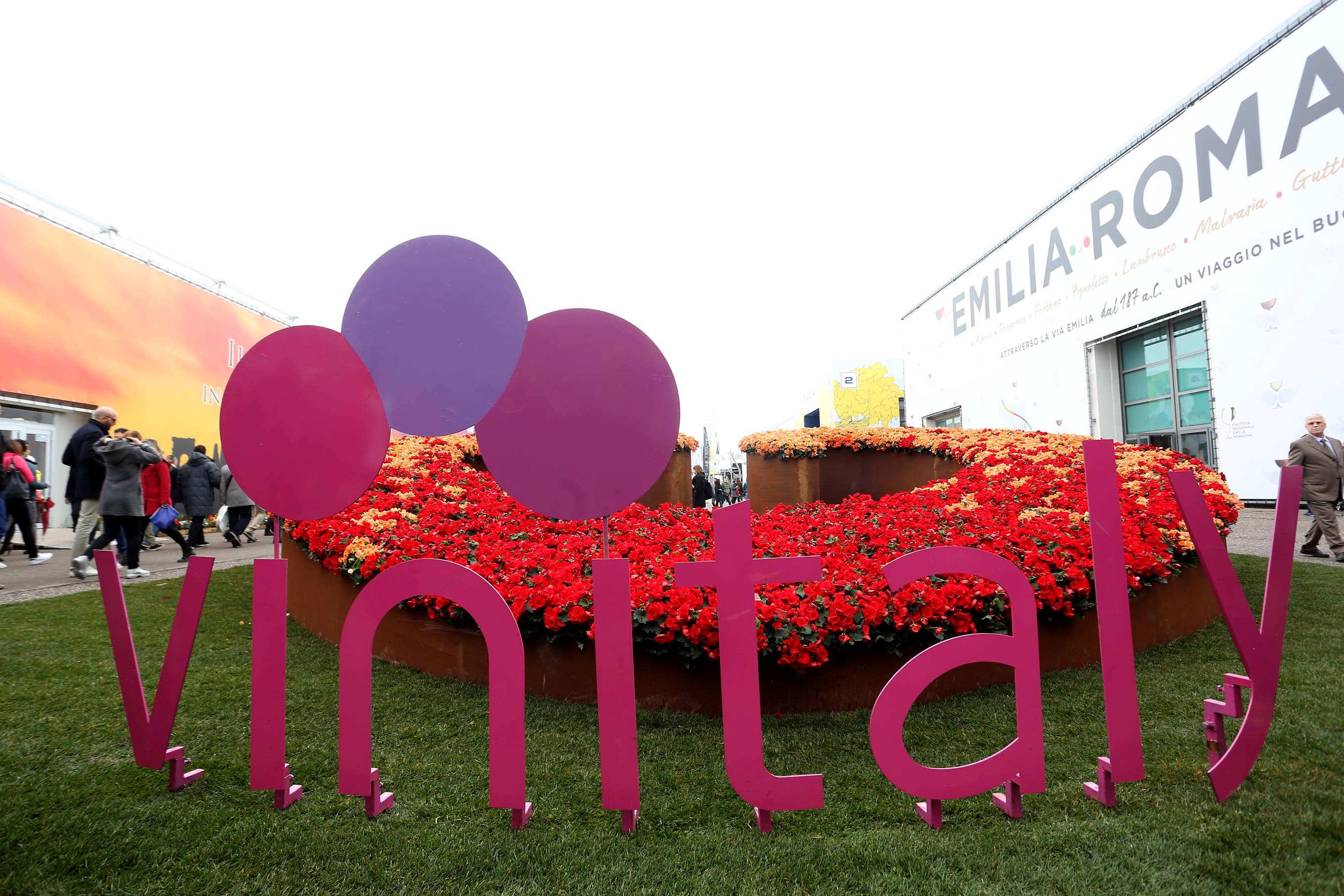 Quasi settanta le aziende della provincia pronte per il Vinitaly: scopri quali sono