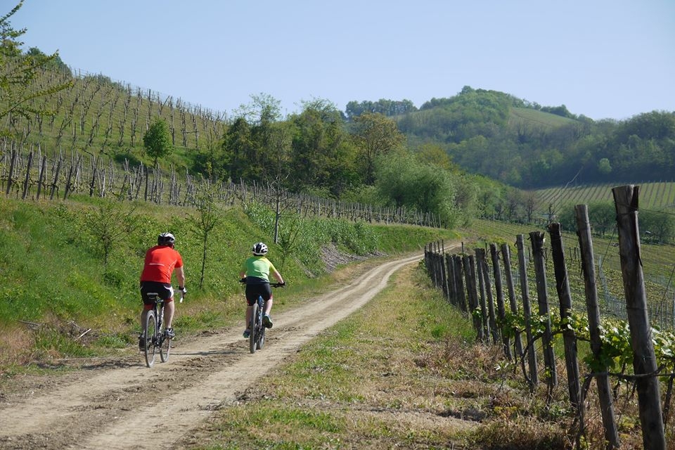 Sei ore di mountain bike sabato nel pavese