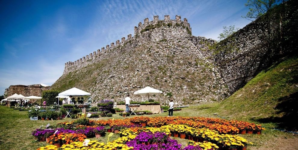 Dal Piemonte alla Lombardia fino alla Liguria un week end all’insegna di piante e fiori