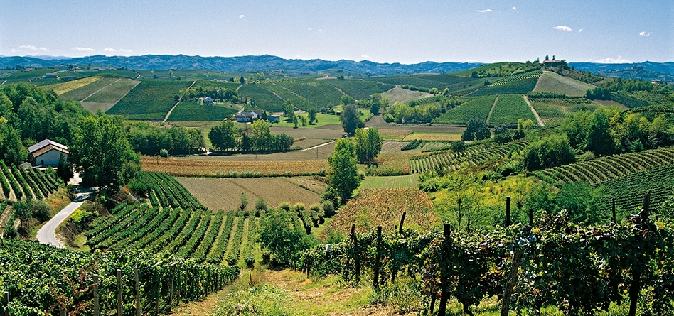 Un week end di pic-nic tra i casotti della cantina Vinchio-Vaglio Serra