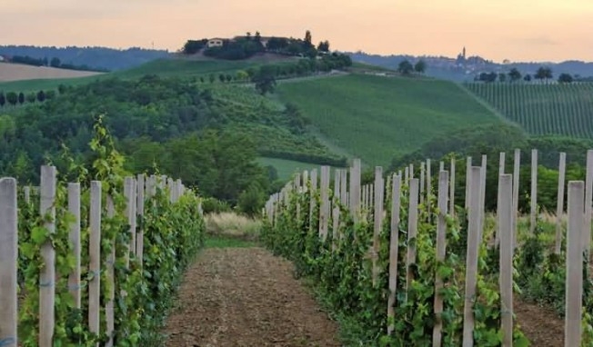 Una serata intera dedicata al grignolino