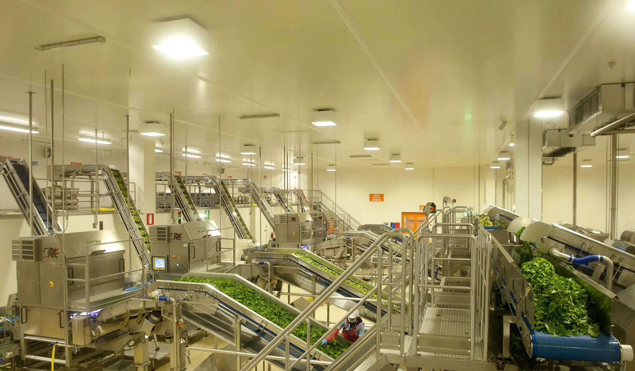 Linea Verde dentro lo stabilimento Zerbinati per far conoscere una delle eccellenze del Monferrato
