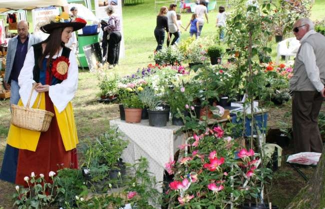 Domenica tra gli antichi borghi monferrini di Riso & Rose