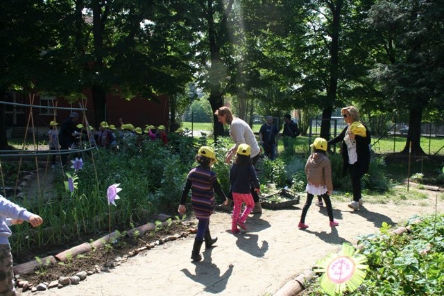 Alla mensa della scuola Morbelli i bimbi mangiano le verdure che coltivano