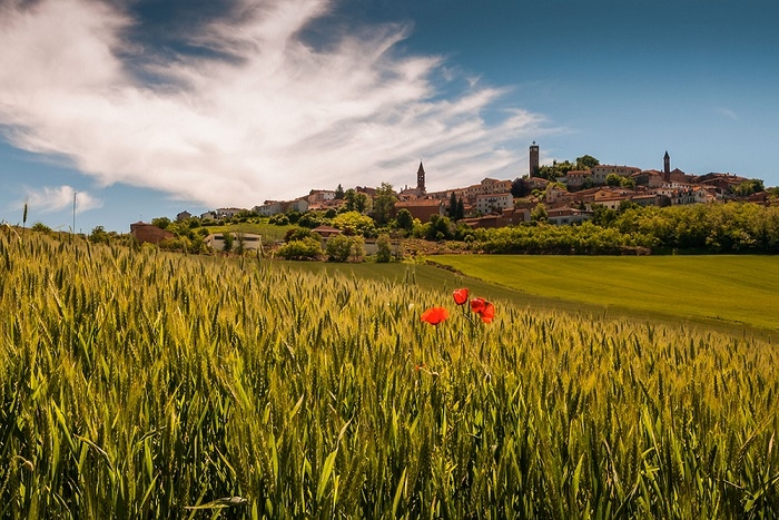 A Lu arriva la camminata enogastronomica “La Zontiana, a spasso in Monferrato”