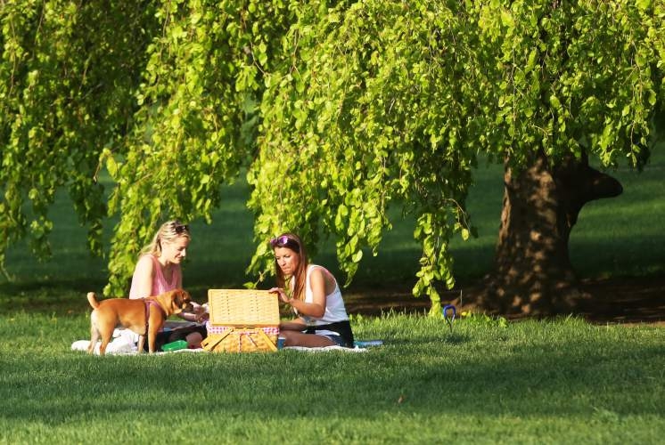 A Milano la tavola è pronta, arriva pixel picnic