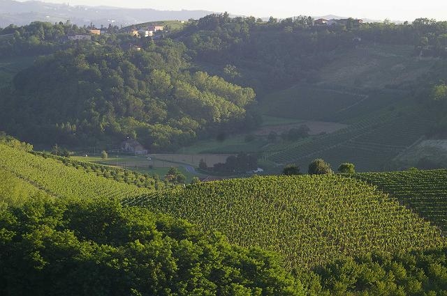 Nel fine settimana la provincia mette in mostra le sue “Cantine Aperte”