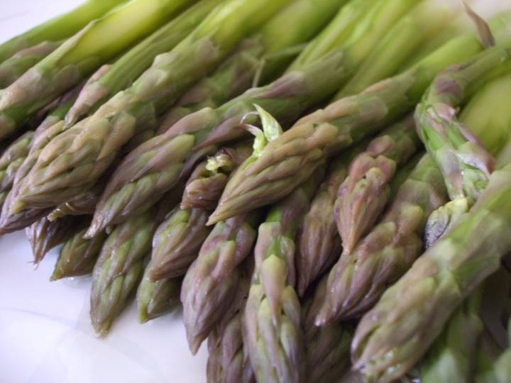 A Fubine tornano i sapori della tradizionale Sagra dell’Asparago