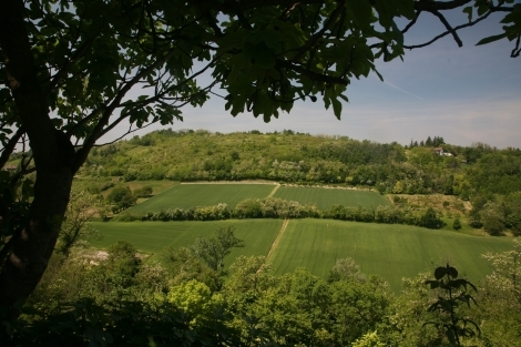 Una “camminata sulle nostre colline” con il Cai di Valenza