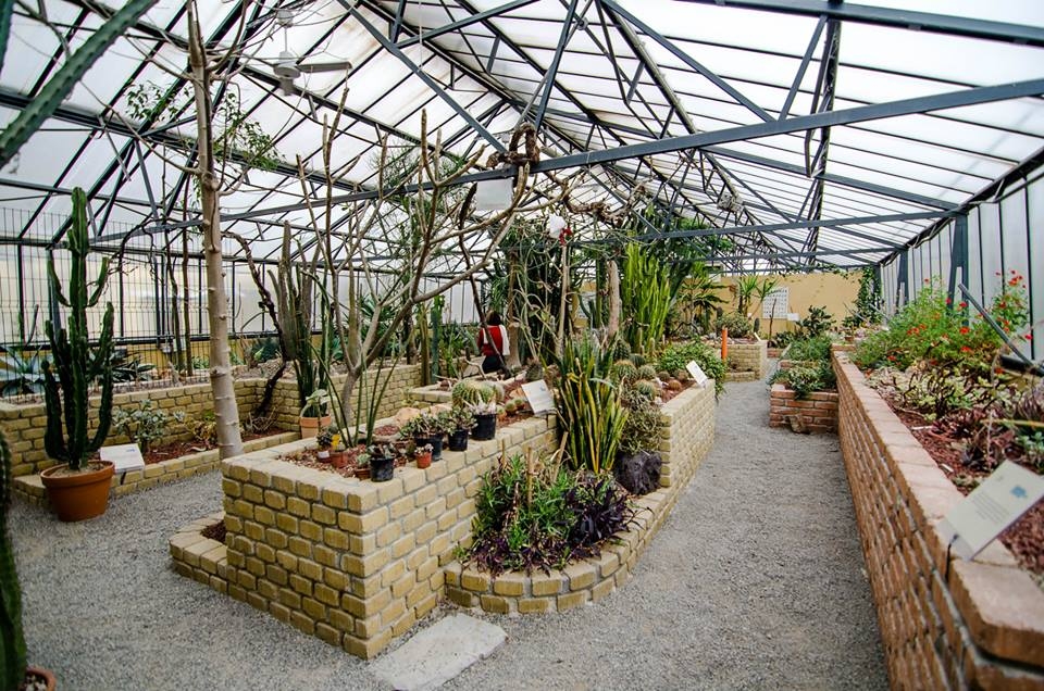 “Alessandria green week”, 10 giorni alla scoperta del Giardino Botanico