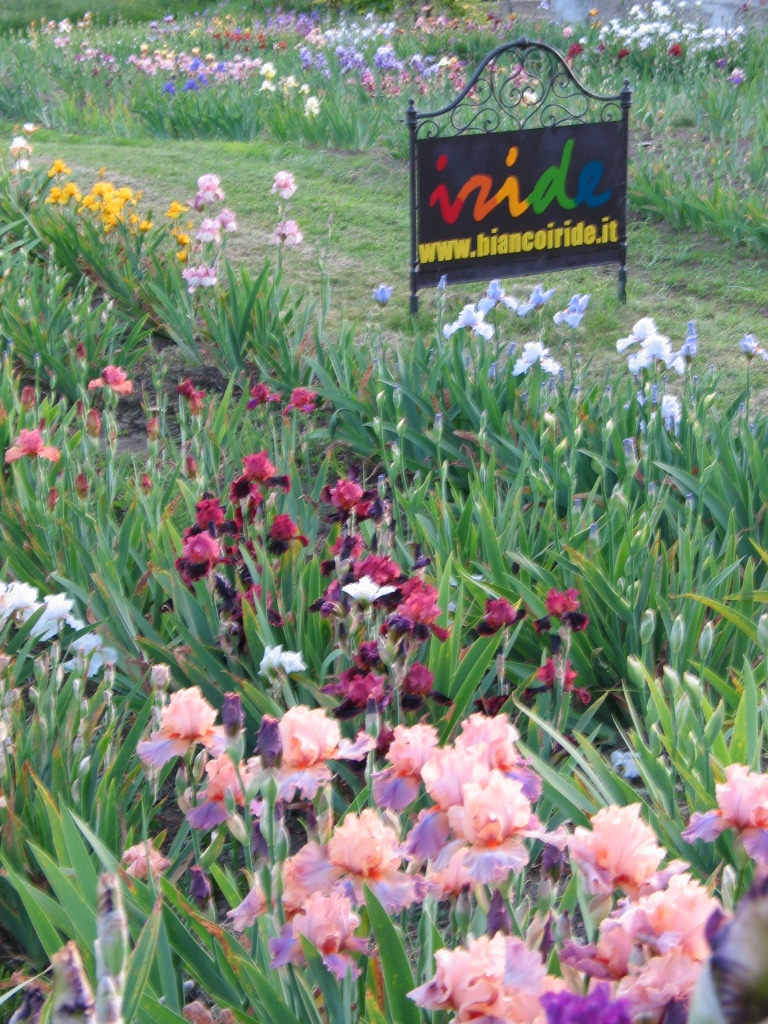 Il “Sabato nei villaggi”, cultura e natura nelle terre del Po