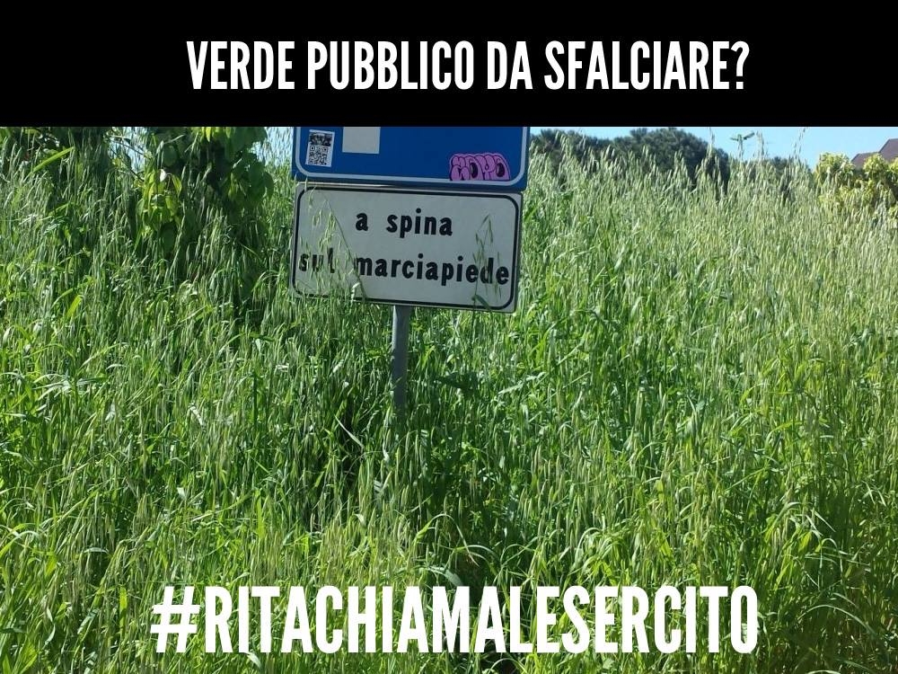 Le dichiarazioni sulla sicurezza del sindaco alimentano l’ironia sul web: nasce la pagina #ritachiamalesercito