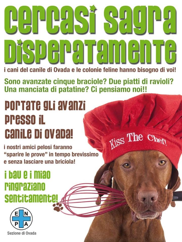 Sagre anche per cani e gatti: l’idea dell’Enpa di Ovada