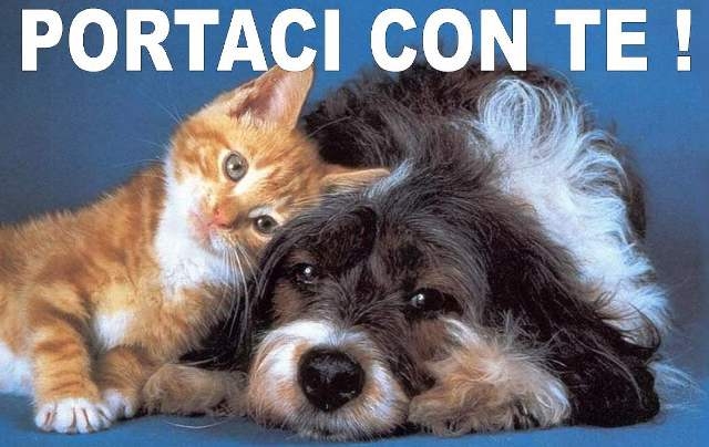 Il Comune di Tortona contro l’abbandono degli animali