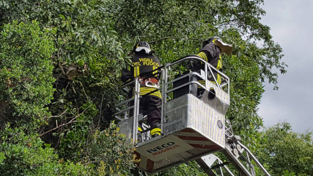 Temporale crea disagi nel tortonese e acquese