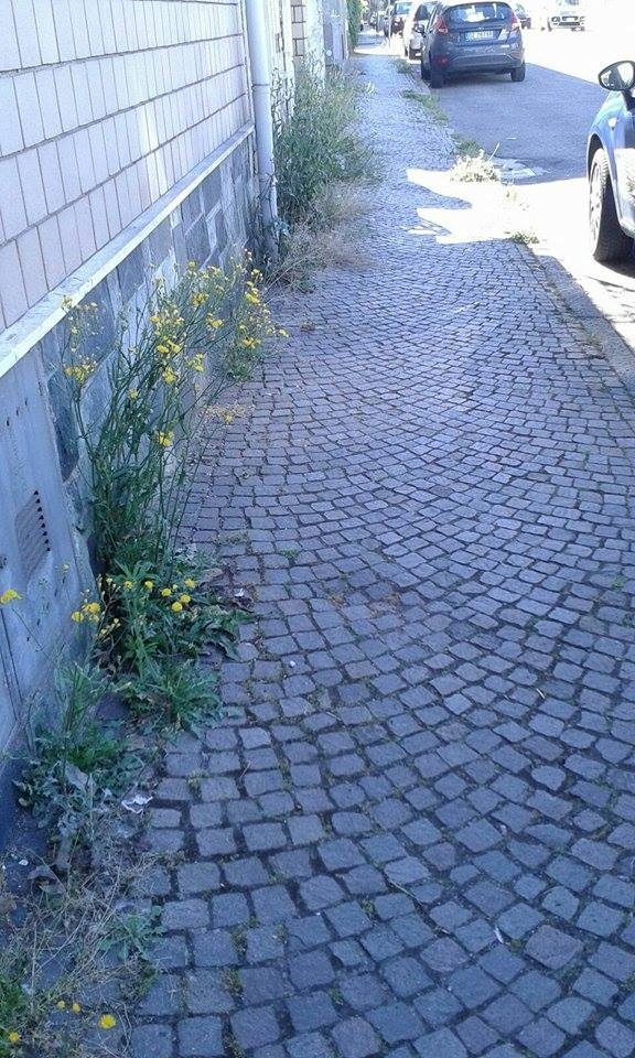 Cittadini di Valenza chiedono azioni più incisive e rapide per ripulire le vie della città