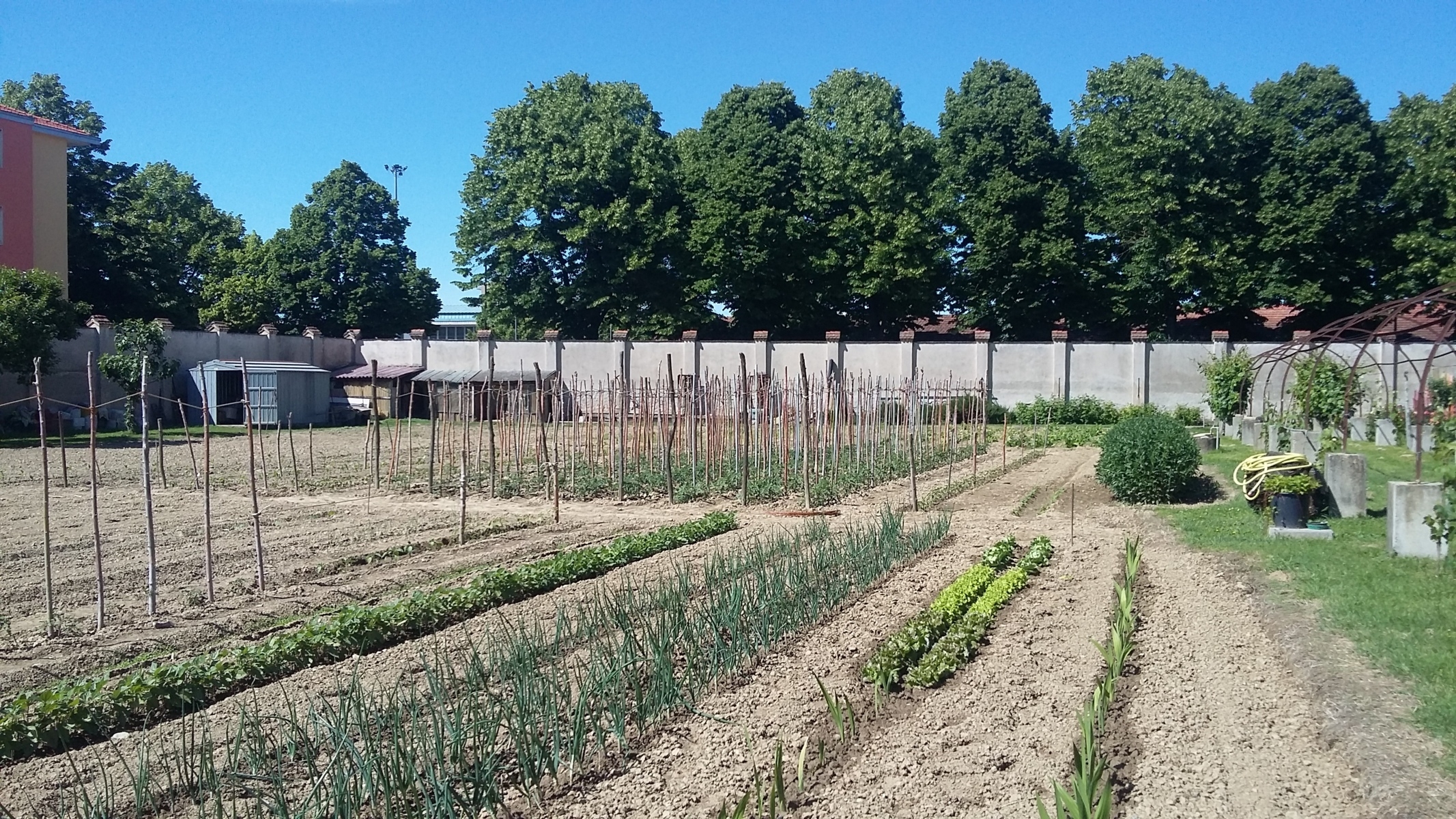 Borgo Michel è in festa: un sabato tra cibo e divertimento