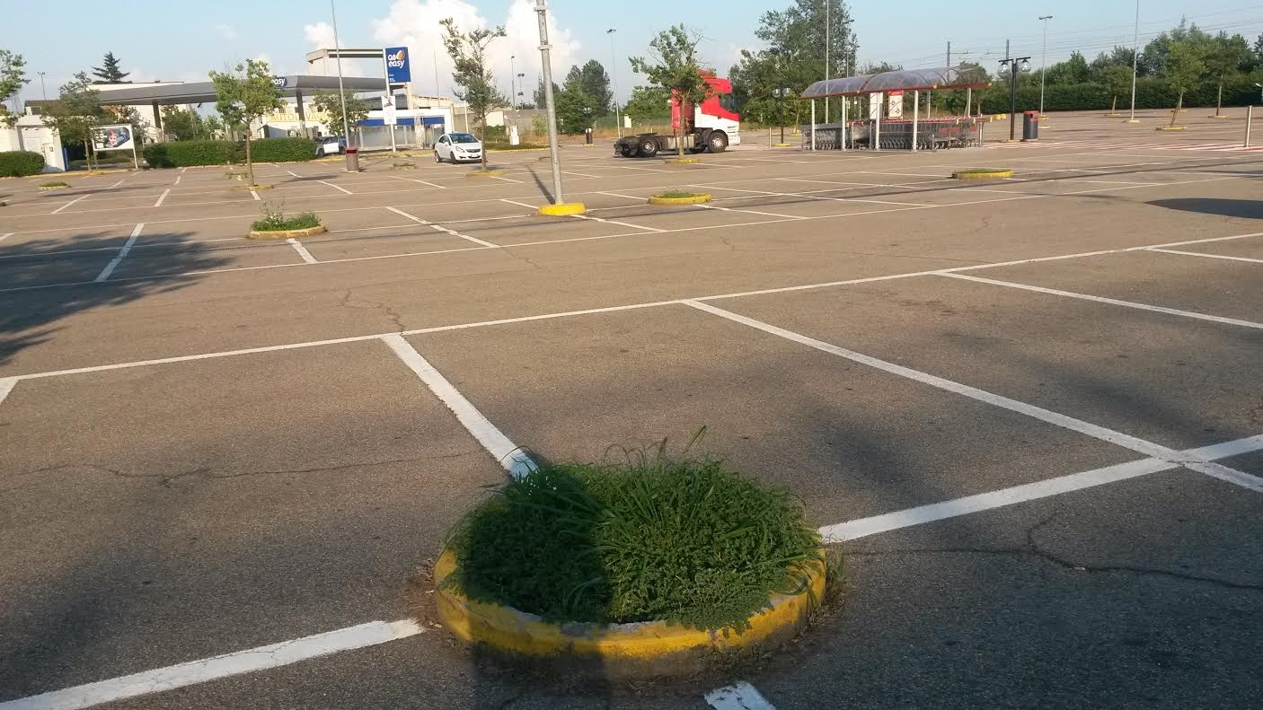 Un’interpellanza di SEL per contrastare il riscaldamento urbano