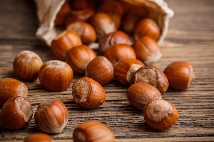 Accordo di Filiera Nocciolo: se ne parla questa sera a Lu