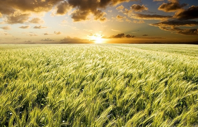 Le Spighe verdi premiano la virtuosa Serralunga di Crea